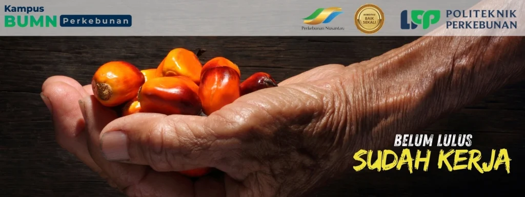 Beasiswa KIP Kuliah Politeknik LPP Yogyakarta segera dibuka! Kuliah gratis dan langsung siap kerja. Cek info pendaftarannya di sini!