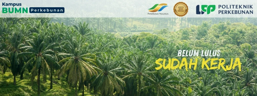 Beasiswa SDM Sawit 2025: BPDPKS membuka 4.000 kuota di 40 kampus vokasi seluruh Indonesia. Politeknik LPP Yogyakarta jadi pelopor sejak 2016.