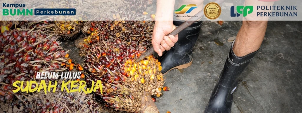 Ingin kuliah gratis dan bergengsi di kota pelajar? Politeknik LPP Yogyakarta kembali jadi kandidat utama Beasiswa Sawit 2025.