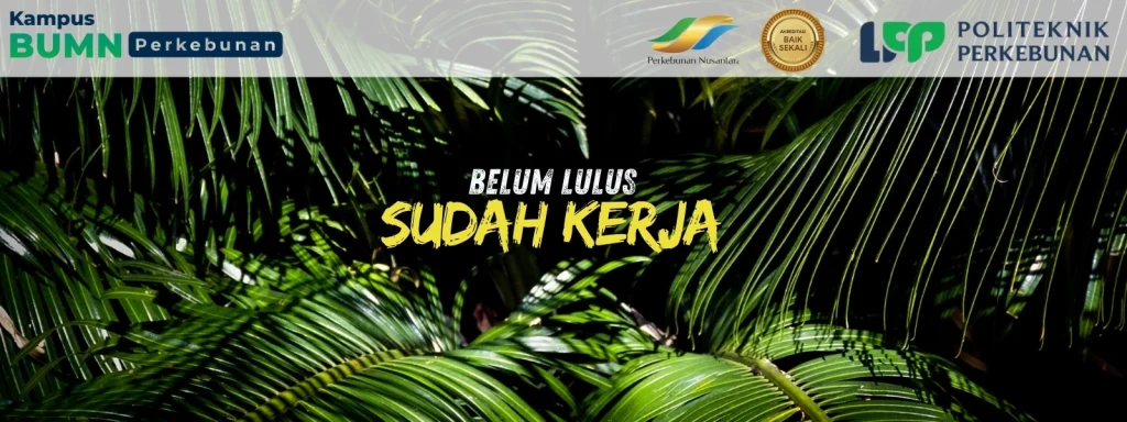 Politeknik LPP Yogyakarta adalah Kampus BUMN unggulan di Jogja. Tersedia banyak beasiswa & peluang karier di industri BUMN. Daftar sekarang!