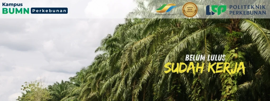 Mau kuliah di kampus perkebunan terbaik? Cari tahu apa itu kampus perkebunan, prospek lulusannya, dan kenapa Politeknik LPP Yogyakarta?