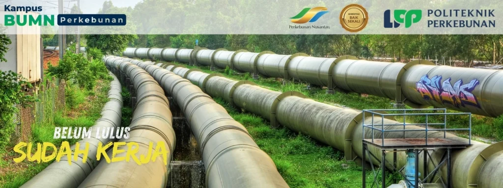 Masih bingung pilih D3 atau D4? Yuk, pahami perbedaan D3 dengan D4 secara dan cari tahu prospek kerja cerah di Politeknik LPP Yogyakarta.