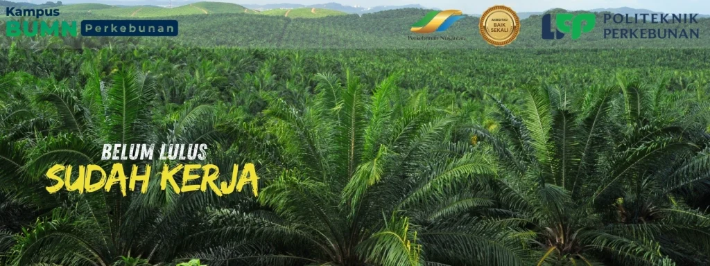 Ingin kuliah gratis dengan skill siap kerja? Daftar di Politeknik LPP Yogyakarta dan raih Beasiswa Sawit penuh biaya hidup dan kuliah.