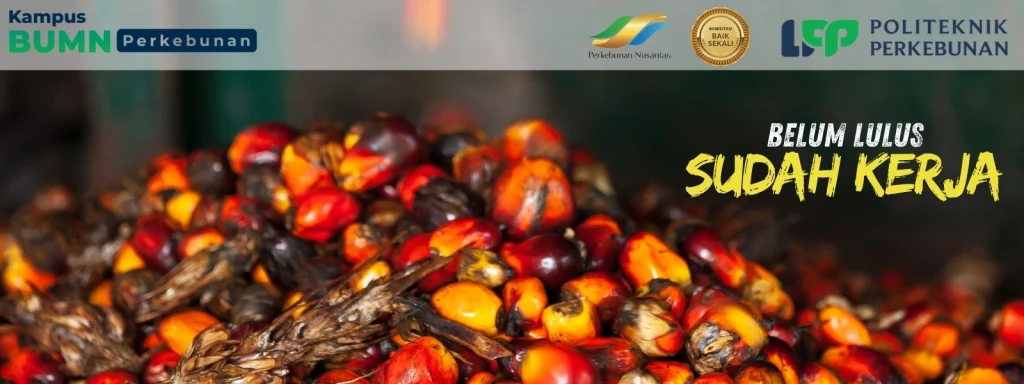 Cari kampus perkebunan terbaik dengan prospek kerja luas? Politeknik LPP Yogyakarta hadir dengan jurusan unggulan serta beasiswa favorit!