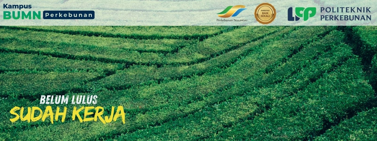 Jurusan perkebunan terbaik 2025? di Politeknik LPP Yogyakarta jurusannya unggulan dgn jaringan industri kuat di bidang perkebunan nasional.