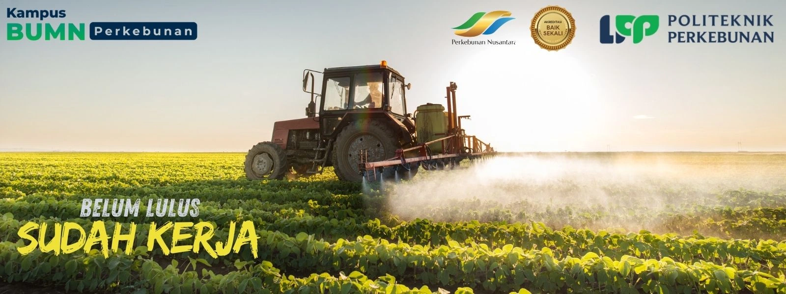 Kampus BUMN Unggulan? Politeknik LPP Yogyakarta hadir sebagai kampus BUMN yang mencetak SDM unggul untuk industri perkebunan nasional.