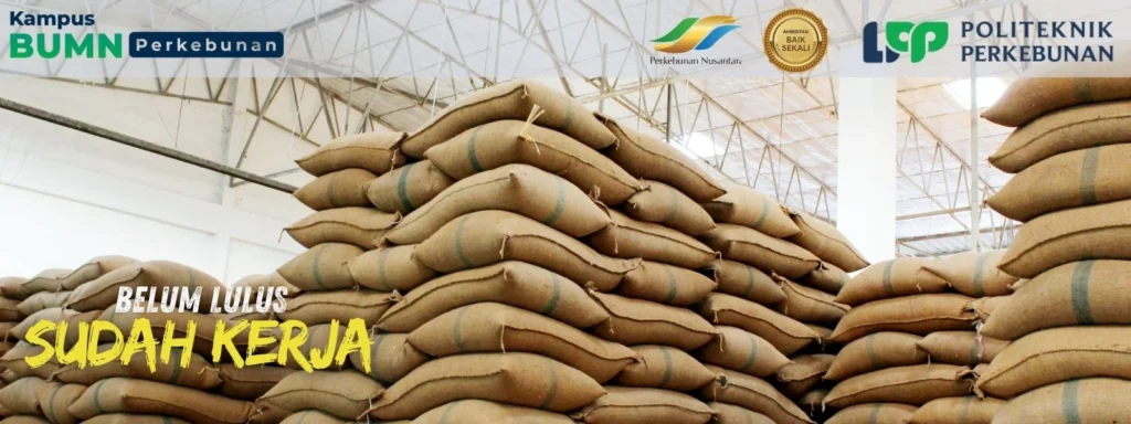 Temukan kampus rekayasa mesin industri perkebunan terbaik. Pelajari pilihan di Politeknik LPP, CWE, dan IPB dengan prospek kerja dan karier.