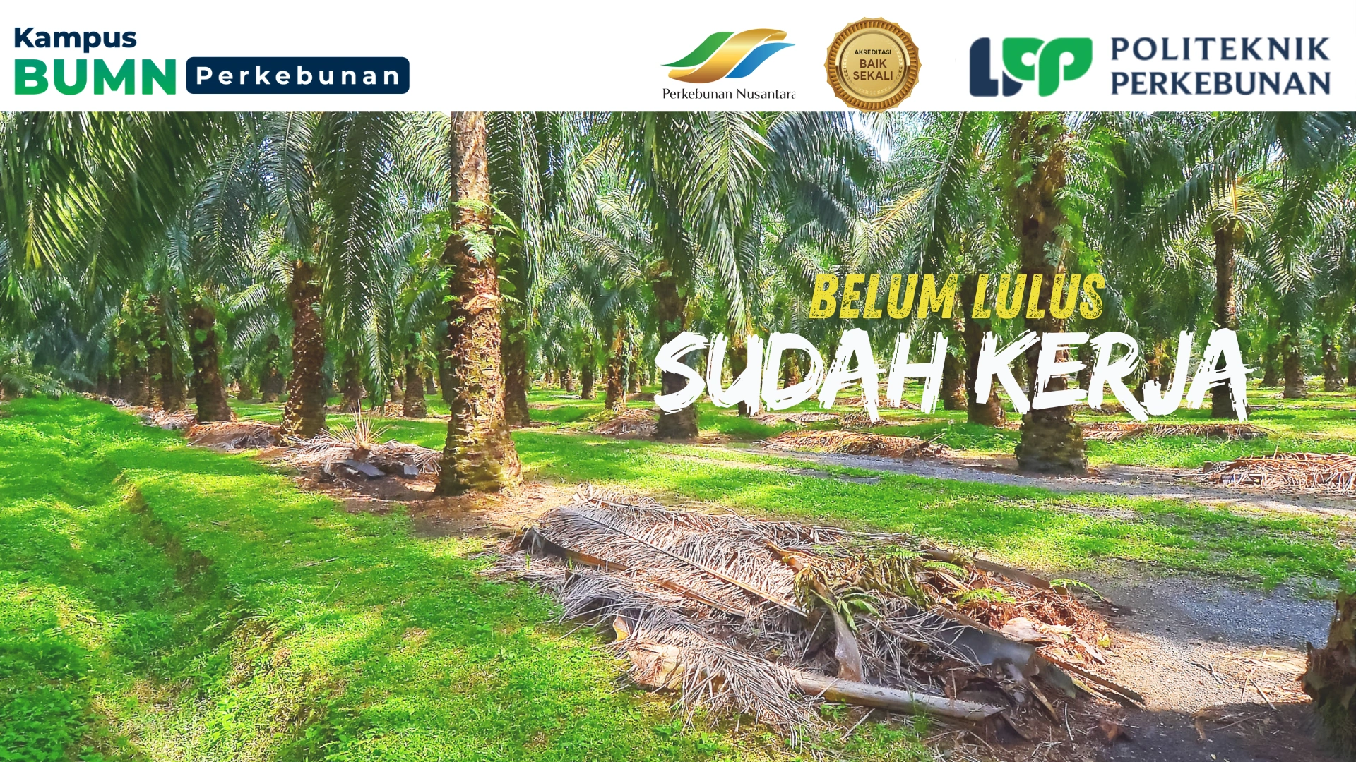 Temukan kampus akuntansi. Pelajari pilihan di UGM, UI, PKN STAN, dan PNJ untuk karier yang stabil dan menjanjikan