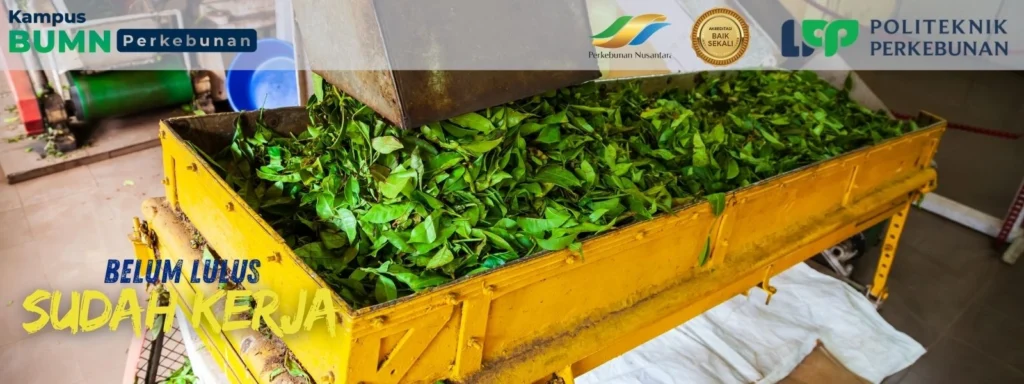 Mencari rekomendasi Politeknik di Jogja? Temukan 5 kampus vokasi unggulan, termasuk daftar lengkap jurusan (Agroindustri, Teknik, Akuntansi).