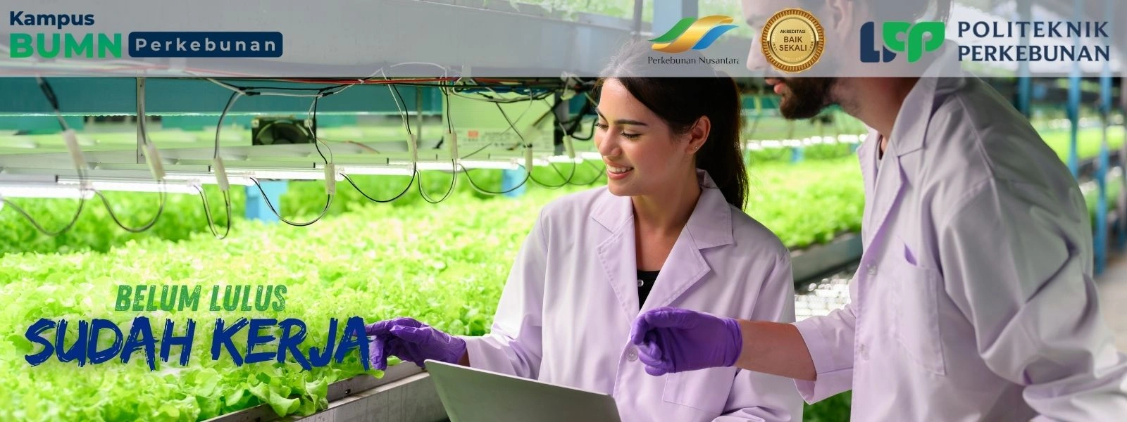 Mencari Kampus Ahli Perkebunan terbaik untuk masa depan gemilang? Mengapa Politeknik Yogyakarta adalah pilihan tepat profesional dan unggul.