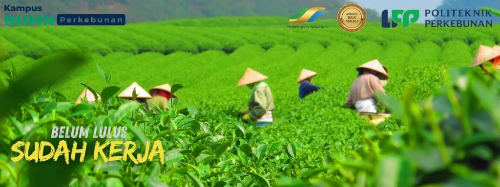 Kampus vokasi terbaik 2026: Temukan daftar politeknik dan universitas program diploma unggulan, koneksi industri kuat dan prospek karier.