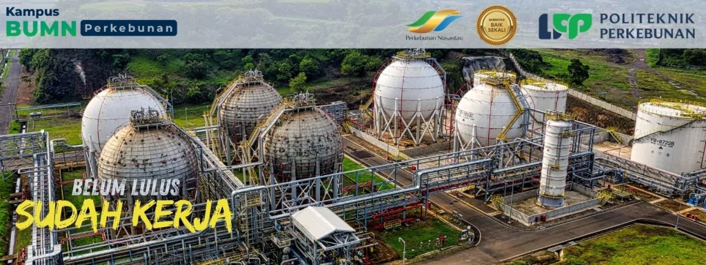 Jurusan paling dicari industri sawit: Daftar program studi yang dibutuhkan perkebunan kelapa sawit mulai dari teknik, pertanian, manajemen.