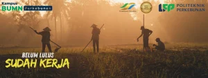 Politeknik LPP Yogyakarta - Kampus Perkebunan Unggulan 2026. Kuliah vokasi BUMN, beasiswa penuh, dan peluang kerja di industri perkebunan.