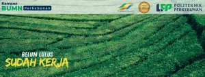Politeknik LPP Yogyakarta - Kampus Perkebunan Jogja 2026. Kuliah vokasi BUMN dengan beasiswa penuh, kurikulum praktis, dan potensi kerja baik