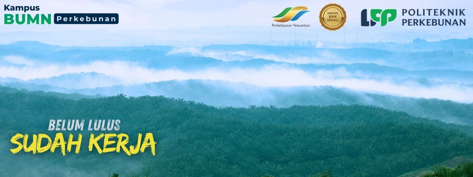 Politeknik LPP Yogyakarta - Kampus Perkebunan BUMN 2026. Kuliah vokasi terafiliasi PTPN Group, beasiswa penuh, dan karier di industri agro.
