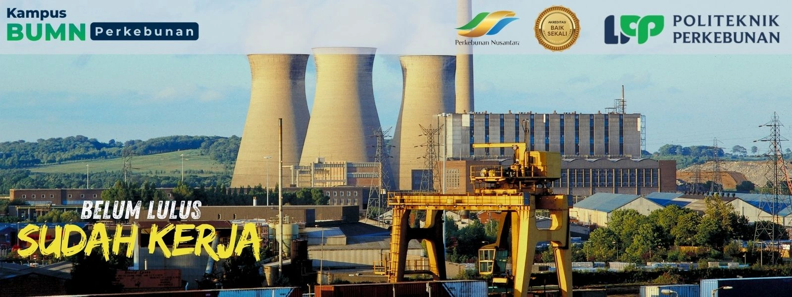 Politeknik LPP Yogyakarta - Kampus BUMN Unggulan 2026. Kuliah vokasi BUMN, beasiswa penuh, dan peluang kerja di industri perkebunan.