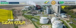 Politeknik LPP Yogyakarta sebagai Kampus Perkebunan Terbaik 2026. Tawarkan kuliah vokasi BUMN, kurikulum efektif , dan beasiswa penuh.