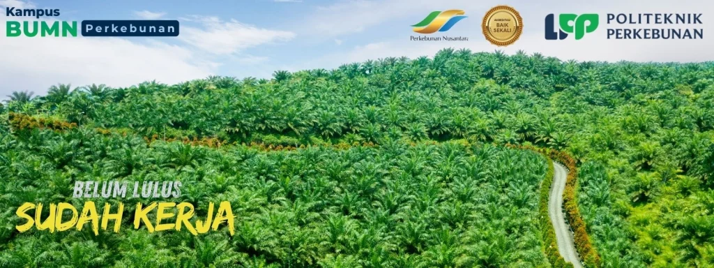 Politeknik LPP Yogyakarta - Kampus Perkebunan Sawit 2026. Kuliah vokasi BUMN, beasiswa penuh BPDPKS, dan peluang karier di industri sawit.