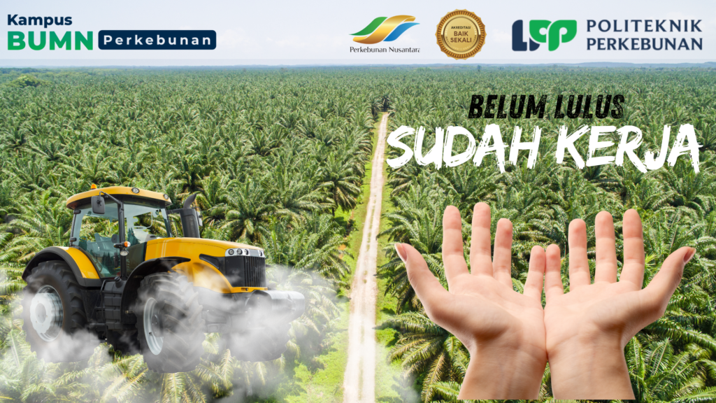 Cari rekomendasi kampus D3 terbaik yang fokus pada kuliah siap kerja dan dunia industri? Politeknik LPP Yogyakarta solusinya!