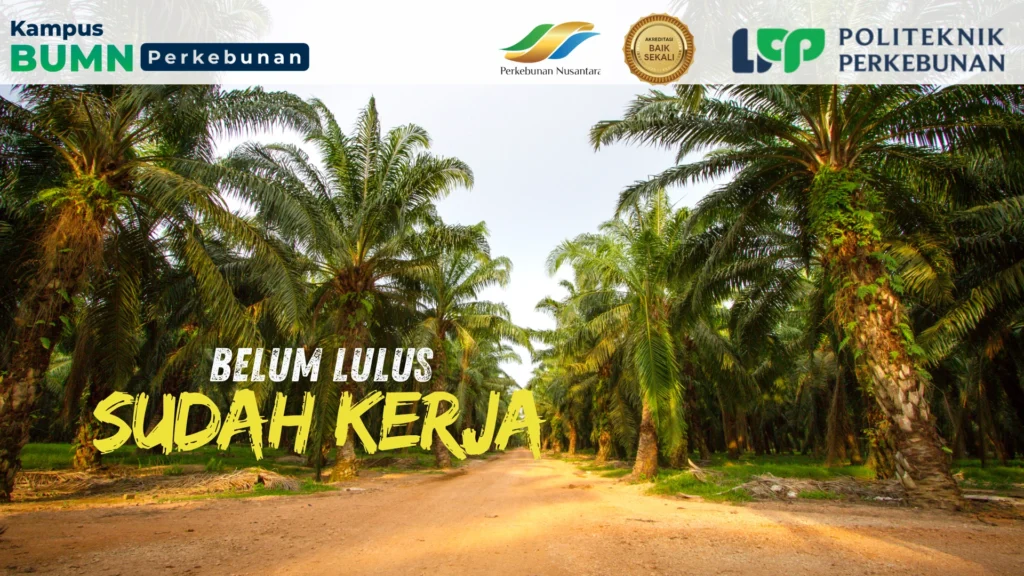 Cari rekomendasi kampus terbaik 2026 yang fokus pada kuliah siap kerja dan dunia industri? Politeknik LPP Yogyakarta jawabannya!