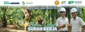 Beasiswa Sawit SDM PKS 2026 – Tahun ini, Badan Pengelola Dana Perkebunan Kelapa Sawit (BPDPKS) di bawah naungan Kementerian Keuangan Republik Indonesia kembali membuka Program Beasiswa Sawit SDM PKS 2026 dengan kuota peserta 4000+. Program ini menjadi salah satu inisiatif unggulan dalam meningkatkan kualitas SDM di sektor kelapa sawit nasional.