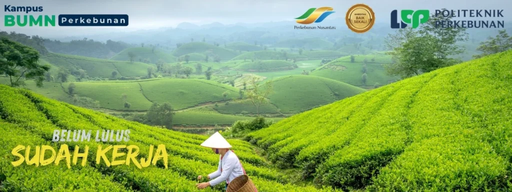 Kampus Vokasi Perkebunan BUMN adalah Politeknik LPP Yogyakarta dengan program D2, D3, dan D4 berbasis industri perkebunan.