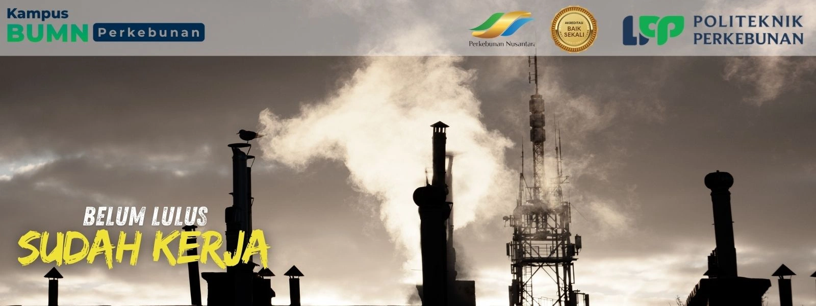 Kampus D4 Terbaik 2026? Politeknik LPP Yogyakarta menawarkan program Sarjana Terapan berbasis industri dengan peluang kerja setelah lulus!
